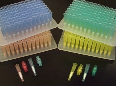 Controlled Pore Glass